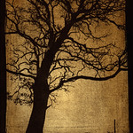 gumoil alternative process