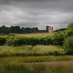 Powderham Folly