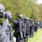 Zwarte weduwen (1) / Black widows