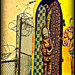 Harsh Realities in New York City!