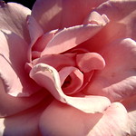 yestarday was a beautiful day