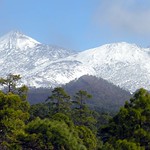 Mount Teide