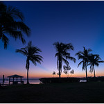 Florida Life: Solstice Solace