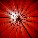 red is the color of shanghai rain....