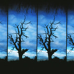 #33 (one third of the way...)