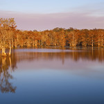 Lake Chicot State Park 7343