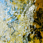 water-consciousness (detail)