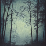 gumoil alternative process