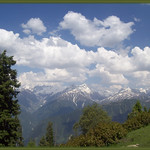 Who are you going to believe, me or your own eyes??