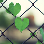 write it on your heart that every day is the best day in the year...