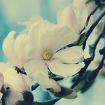 these make my heart beat fast.