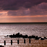 IN THE EARLY EVENING LIGHT