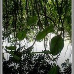 A dream....like a maze....