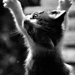 And Now I Am on Your Screen As Well