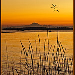 Fall Sunrise - South Vancouver Island