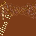 Bitin by Wordle