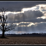 Clouds with Silver Linings
