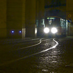 Lelex, as Light in the Night