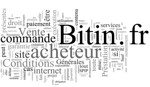 Bitin by Wordle