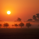 misty sun rise