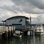 2015 Sydney: Watsons Bay #26