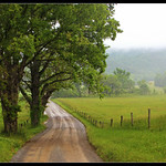 Hyatt Lane in Cades Cove