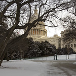 snowy morning at the capitol