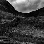 the Fairies live here