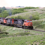 CN #5695 - Grain Train