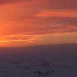 Blowing snow in the sunrise