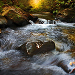 Wollangambe Wilderness || WOLLONGAMBE RIVER || BLUE MOUNTAINS