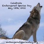 Endangered species day 2012