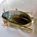 image0029_bearbeitet-5