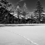 Bessans - Boneval sur Arc II