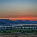 Nature's far too subtle to repeat herself&hellip;