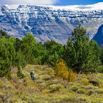 Impressive headwall looms high in Big Indian Gorge, Steens Mountain