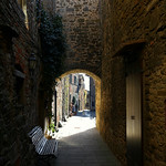 Ce que les yeux voient