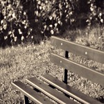 HBM:-)))) Good morning Monday :-)))))