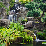 Water in English Gardens (20 of 33) | RHS Gardens Wisley, Surrey, England
