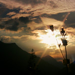 Ehrwald, Zugspitze , Abendstimmung II , 74240/5486
