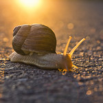 There is strength in serenity