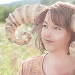 The Zodiac series, Aries