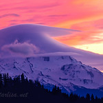 Walking the Path of the Heart