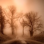 If you don't like the road you're walking, start paving another one