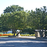 Looking NE across Lawton Drive at - Spanish-American War Memorial - Arlington National Cemetery - 2013-08-24