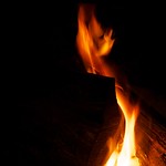 1st September {244/365}