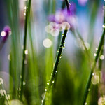 "&ldquo;To hear never-heard sounds, To see never-seen colors and shapes,