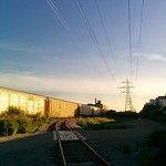 Park Walk: Friends of the Green Line Park Walk