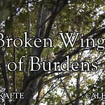 Broken Wings of Burdens