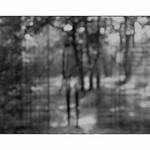 Faith and Illusion # 2